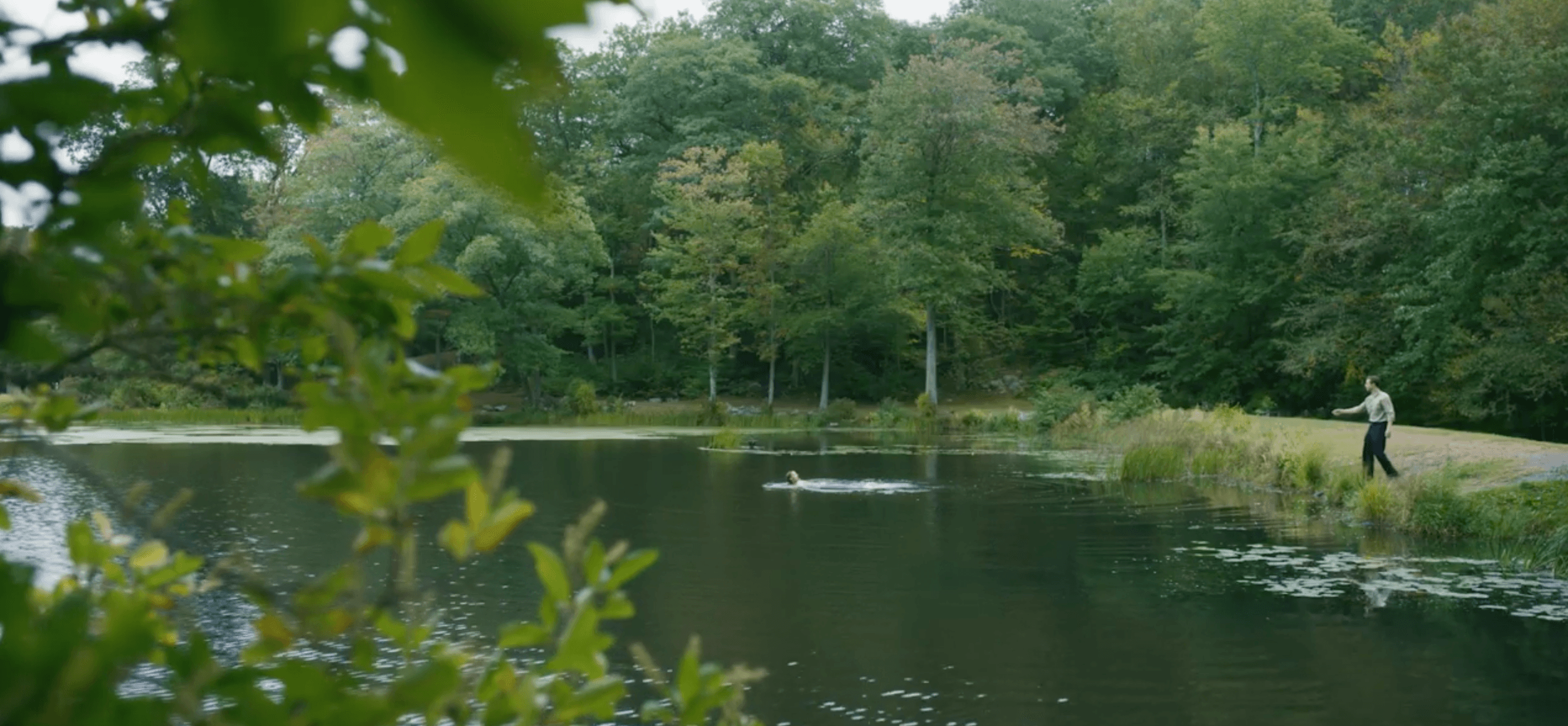 Short Film: Backstroke (2019)