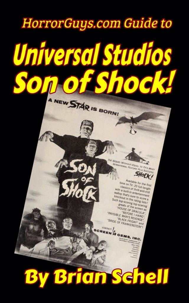Guide to Universal Studios Son of Shock!